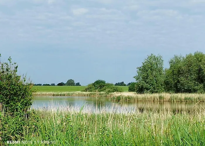 Nordseeliebe * Rysum